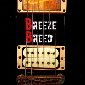 BREEZE BREED　logo